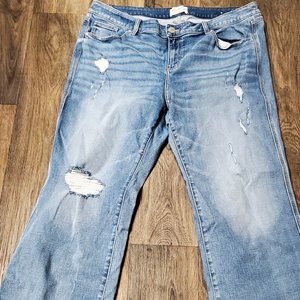 Lane Bryant Flare Jeans